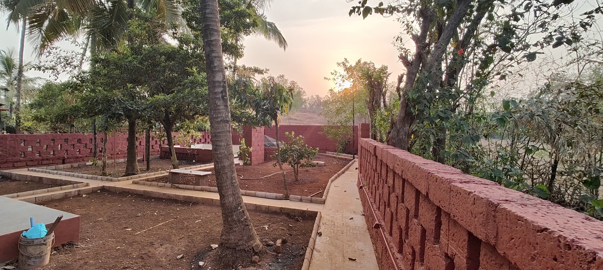 Coconut and fruit trees in the villa garden